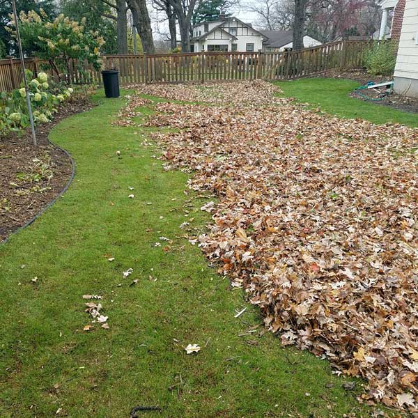 Winter Cleaning League City TX landscaping services