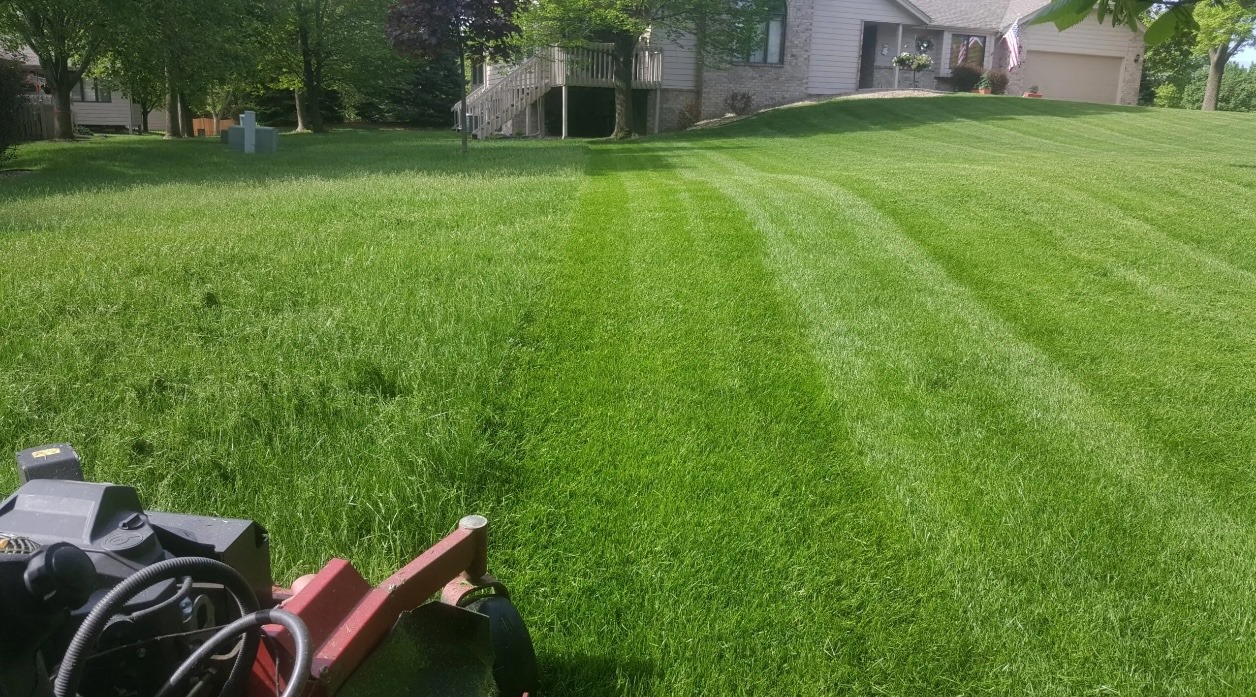 Lawn Mowing