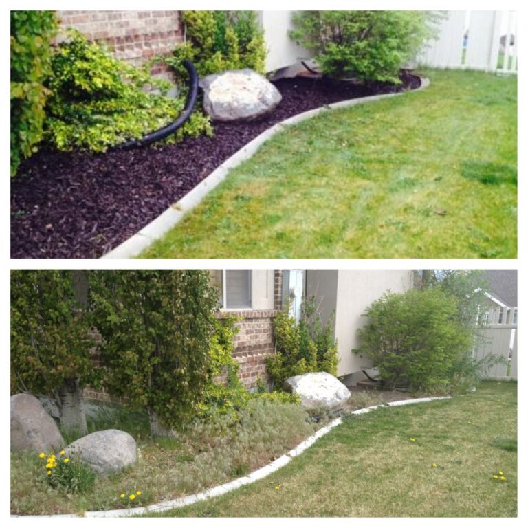 Before and After muluch cleaning