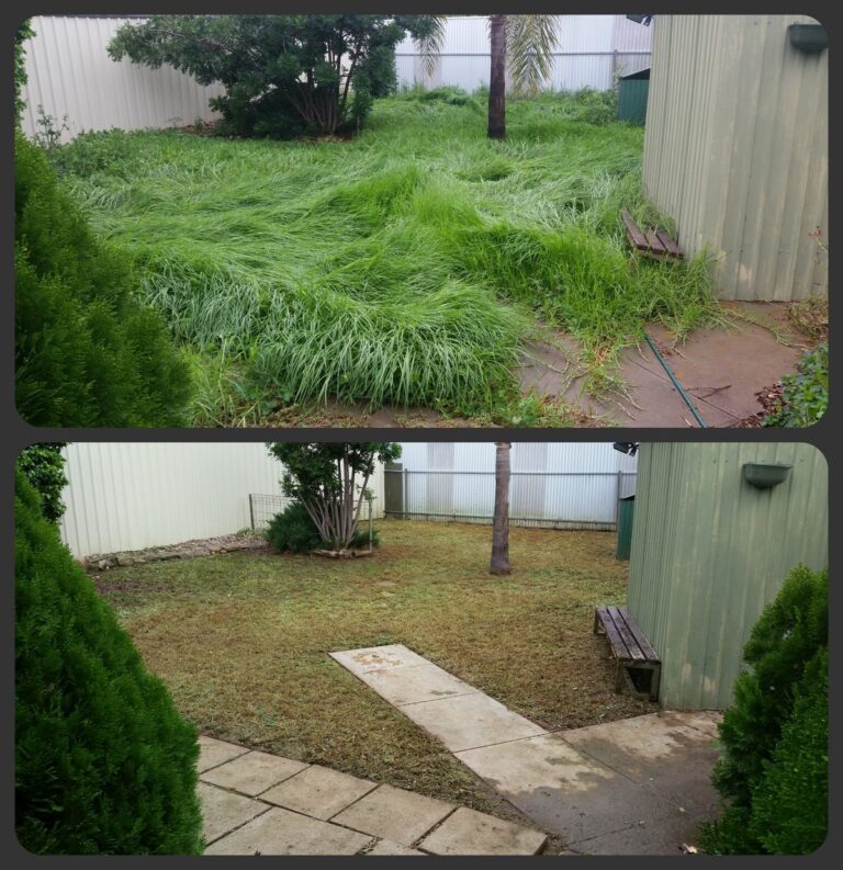 Before and After muluch cleaning
