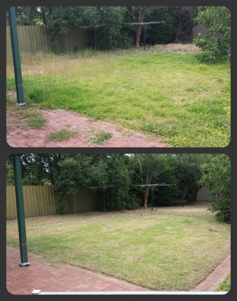 Before and After muluch cleaning