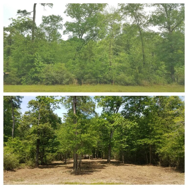 Tree Trimming Services